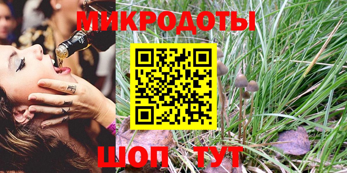 Псилоцибиновые грибы Psilocybine cubensis  Вход с VPN  Балашов 